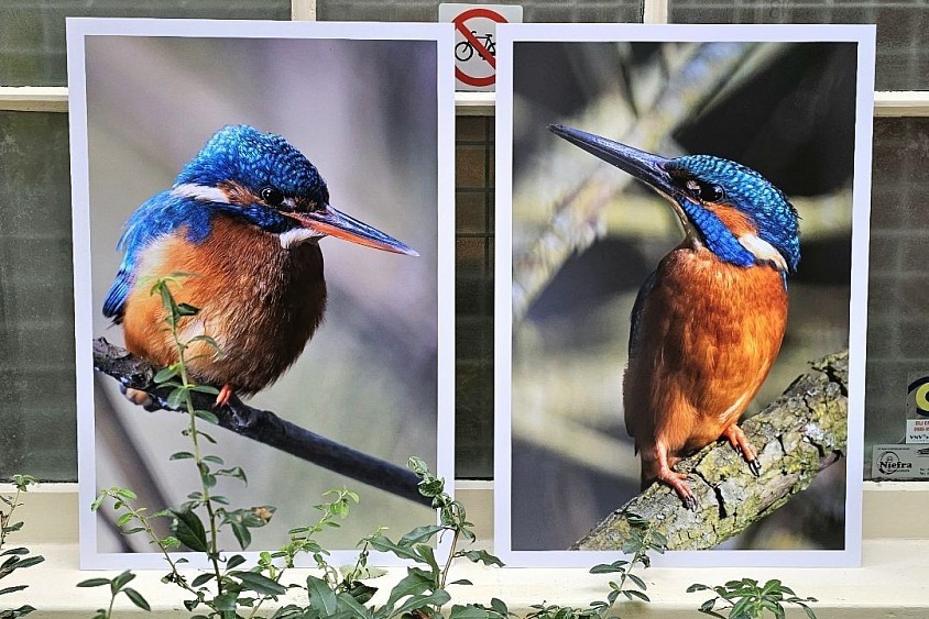 Diptych 2x 60x40cm