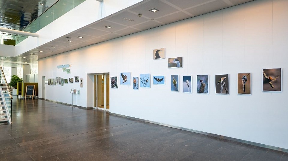 Hoofdkantoor Rijkswaterstaat