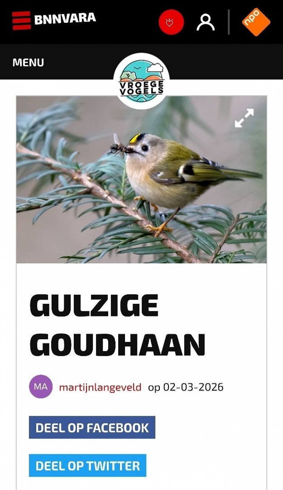 Vroege Vogels